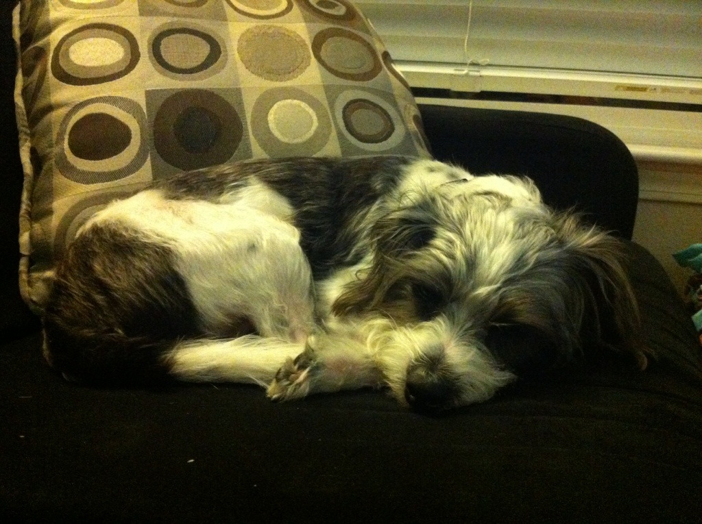 My Weighty Story, Cooties & Wall-E Tails: It’s all wrapped up into one!