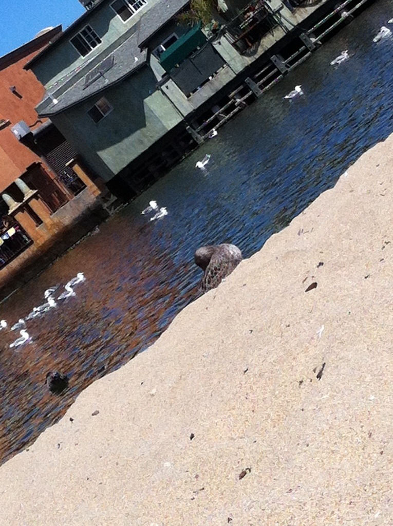 Story restructuring a SUCCESS!