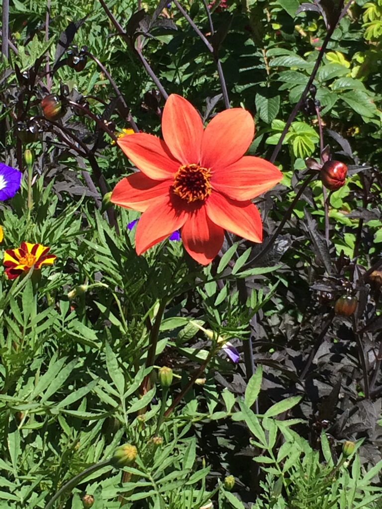 Re-Charged and Ready.